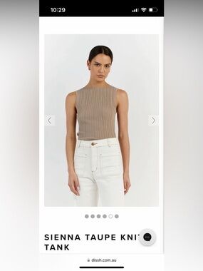 Dissh Taupe Ribbed Knit Tank NWT